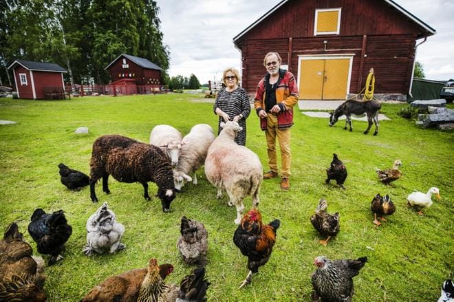 Eläinten vanhainkoti Wanhaa Markia pyörittävä taiteilijapariskunta Liisa-Cristiina ja Heikki Laaksonen saivat kutsun Linnaan. Arkistokuva: Krista Luoma