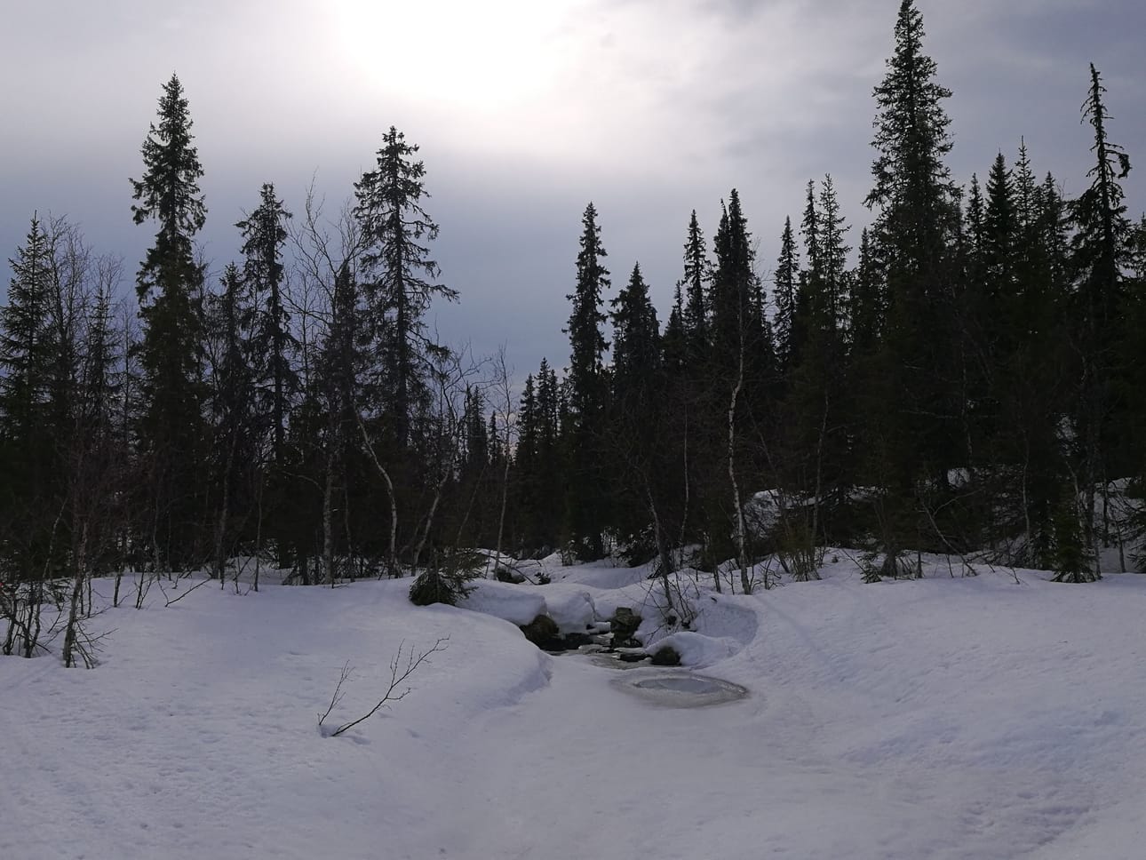 Monelle nykyajan ihmiselle tulisi erämaan haastaessa itku jo ensimmäisenä päivänä. Kuinka moni osaa oikeasti esimerkiksi suunnistaa tai tehdä tulen maastoon märällä kelillä niistä tarpeista, mitä sieltä löytyy?