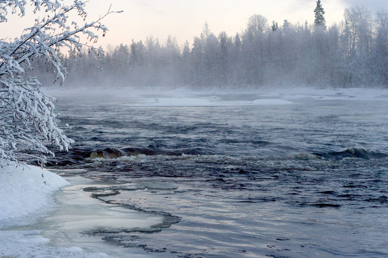 Kostonjoen kalastuskohteessa pääsee kalastamaan rajoitetulla alueella huhtikuussa, kun Metsähallitus avaa joesta 4,5 kilometrin osuuden hankikorrikalastukselle. Toukokuun aikana eli harjuksen kuturauhoituksen aikaan kalastus ei ole sallittua. Varsinainen kalastussesonki alkaa 1. kesäkuuta. Arkistokuva.