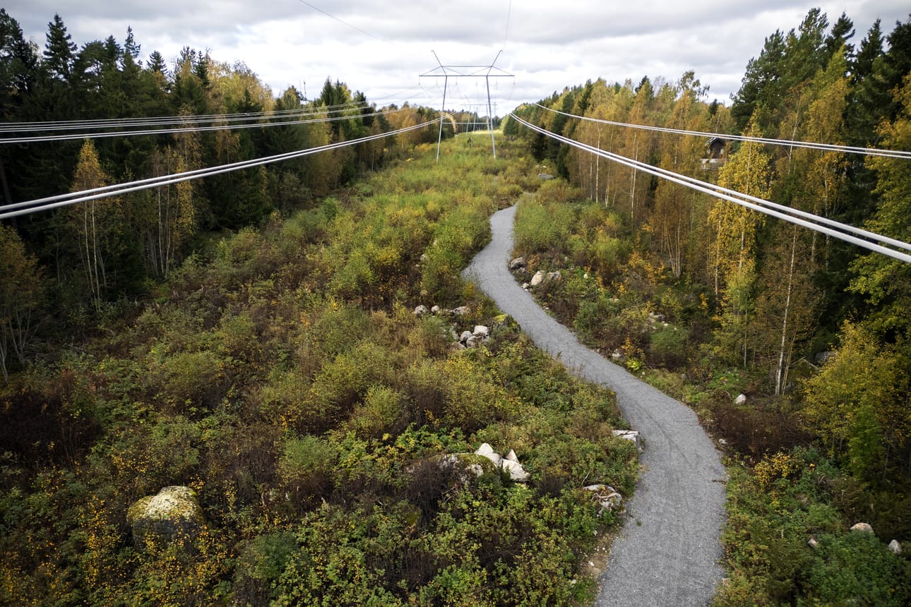 Huutoniemen ja Teeriniemen välistä ja aiemmin kovin huomaamatonta luontoreittiä on paranneltu merkittävästi. 2,5 metriä leveä murskeväylä kapenee aikanaan kasvillisuuden ottaessa tilaa. Piennarleikkurille tulee silloin käyttöä.