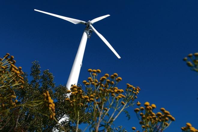 Aikanaan myös Soinin Konttisuolta on saatavilla tuulivoimalla tuotettua energiaa. KUVITUSKUVA: SINIKKA VÄLIKOSKI