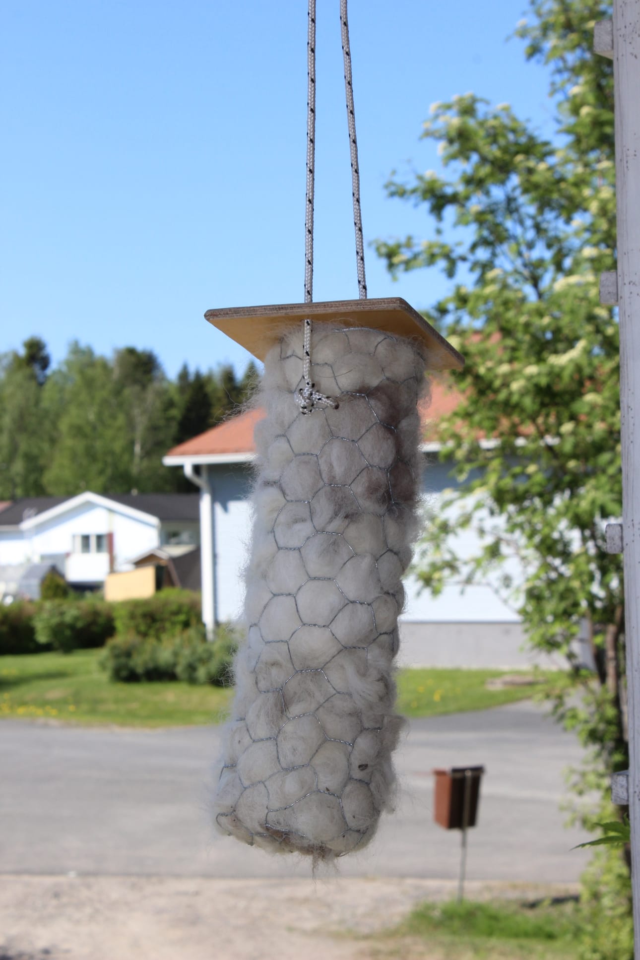 Verkkorakennelma on täytetty koirankarvalla, jota linnut voivat repiä pesänrakennusaineeksi.