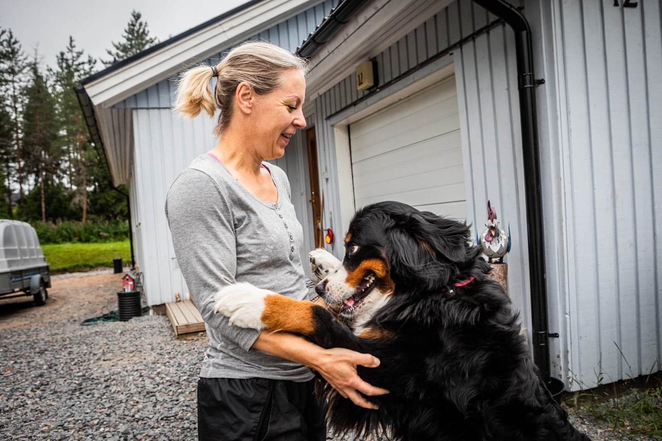 Ksylitolimyrkytys näyttäytyi rovaniemeläisen Marina Heimolaisen nelivuotiaalla berninpaimenkoira Helmiinalla vaisuutena. Koira pääsi eläinlääkärillä tiputukseen ja toipui onneksi nopeasti.