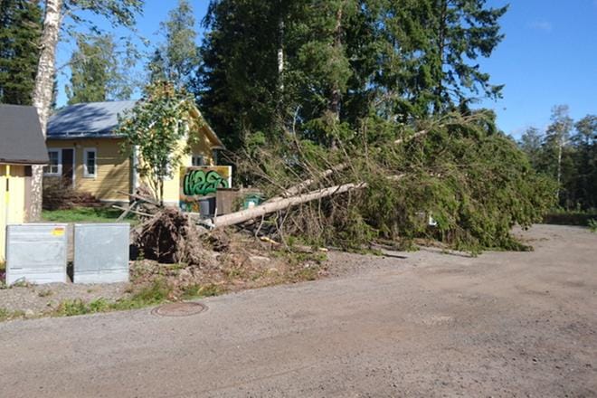KUVAT: Lukija
