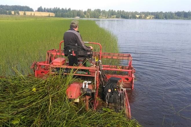 Juhani Riiho ajaa niittopuimuria Alavudenjärvellä. KUVA:TIMO RINTALA