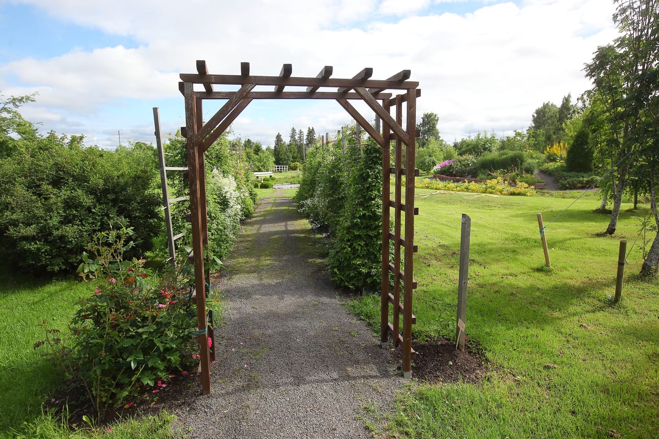 Ylimattilan Arboretum Parhalahdella tuo hehtaarin alueella esille noin 370 erilaista kasvia.