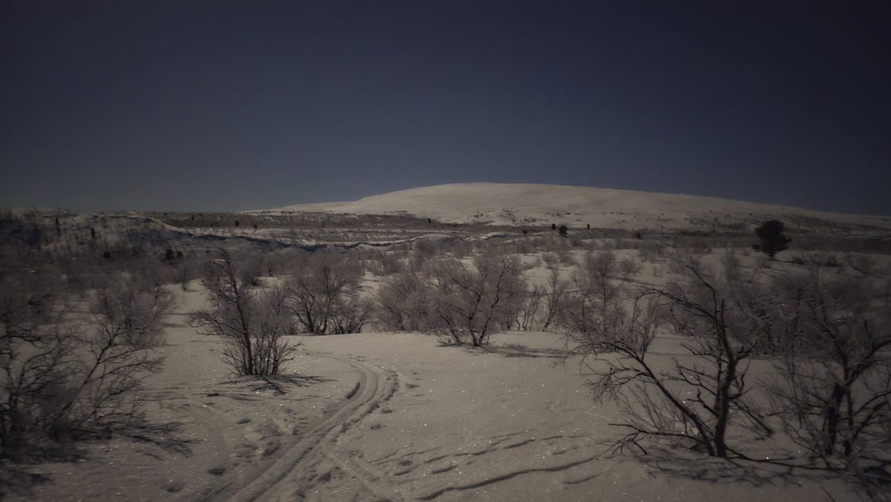 Kaamoksen keskellä kuu tuo päivän yön pimeyteen. Alajärveläiset Vesa Koivunen ja Marko Pyhältö tekivät kaamosvaelluksen Pöyrisjärven erämaahan 27.12.2025 - 1.1.2026.