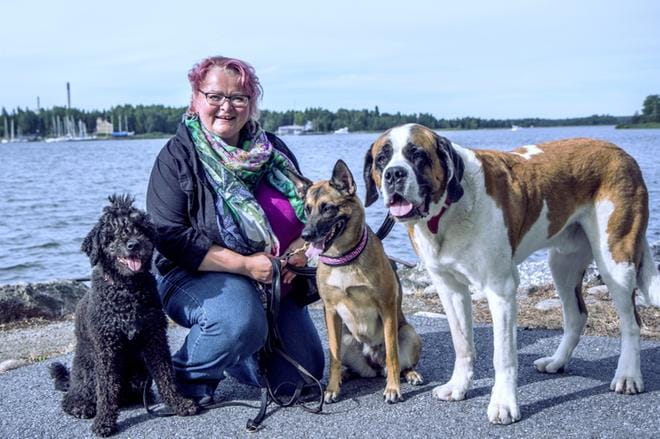 Lemmikit ovat yhä merkittävämpi osa suomalaista kulutusyhteiskuntaa sekä määrällisesti mitattuna että symbolisena ilmiönä, sanoo Vaasan yliopiston markkinoinnin yksikön tutkijatohtori Henna Syrjälä.