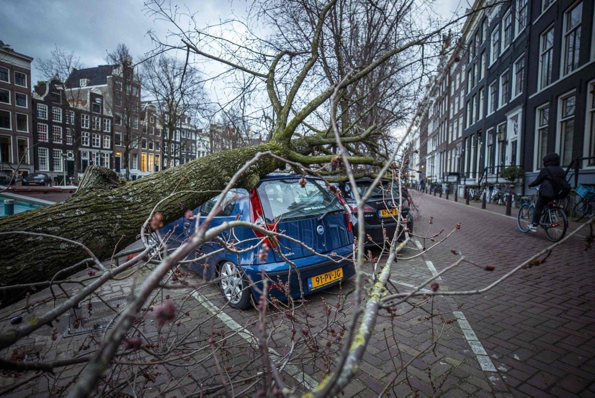 Eunice-myrsky on muun muassa kaatanut puita eri puolilla Eurooppaa. Kuva on Amsterdamista Hollannista. LEHTIKUVA / AFP