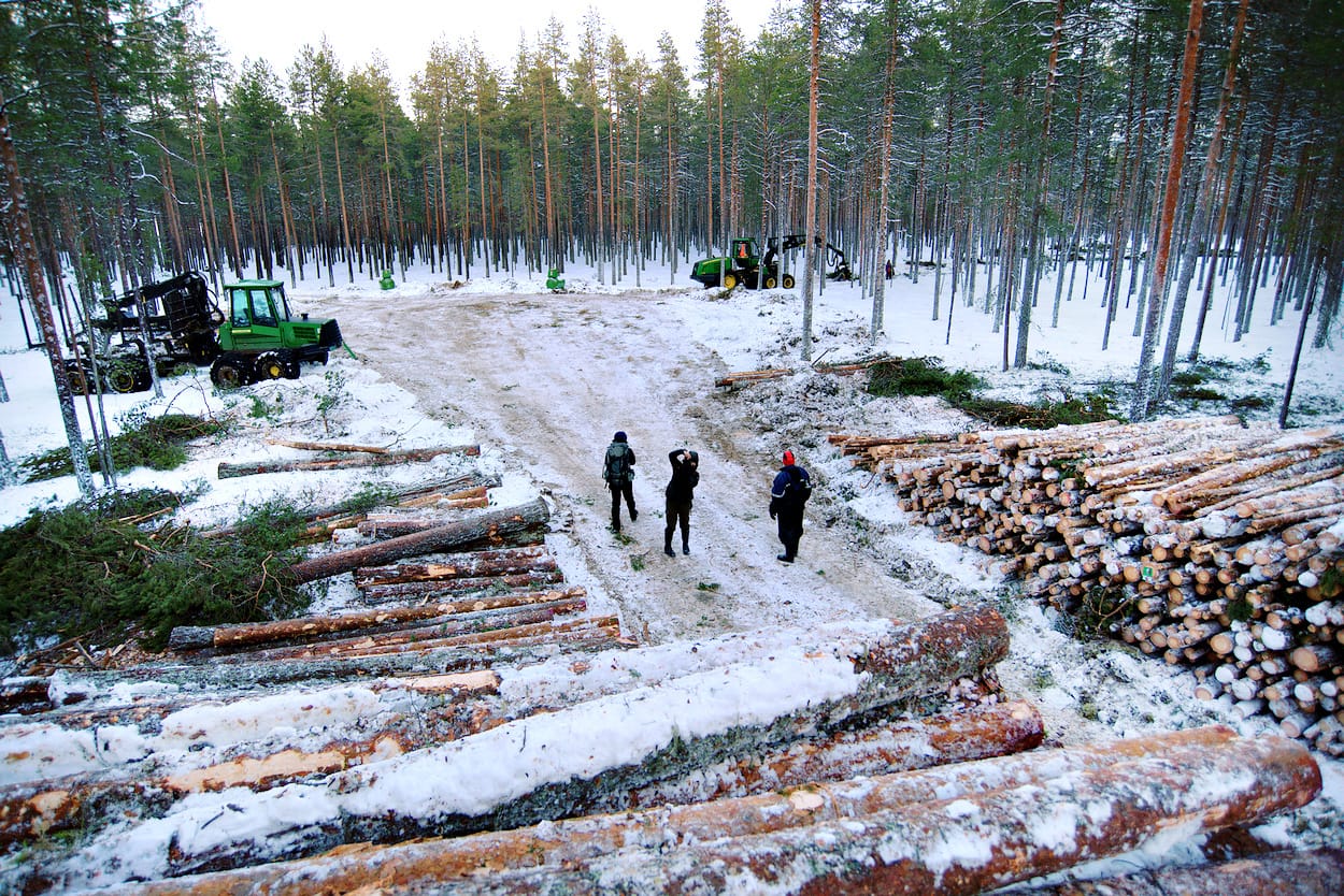 UPM saa jatkaa hakkuita Oulujärvellä sijaitsevassa Ärjänsaaressa.