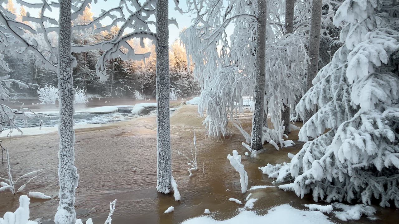 Koitelinkosken hyydetulvaa 8.1.2026