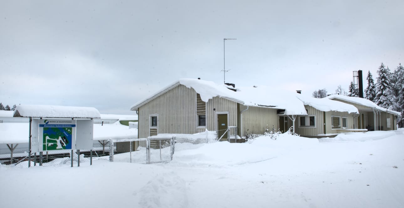 Kuusamon kalanviljelylaitoksen aluetta vuonna 2017, jolloin toimintaa harjoitti Luonnonvarakeskus.