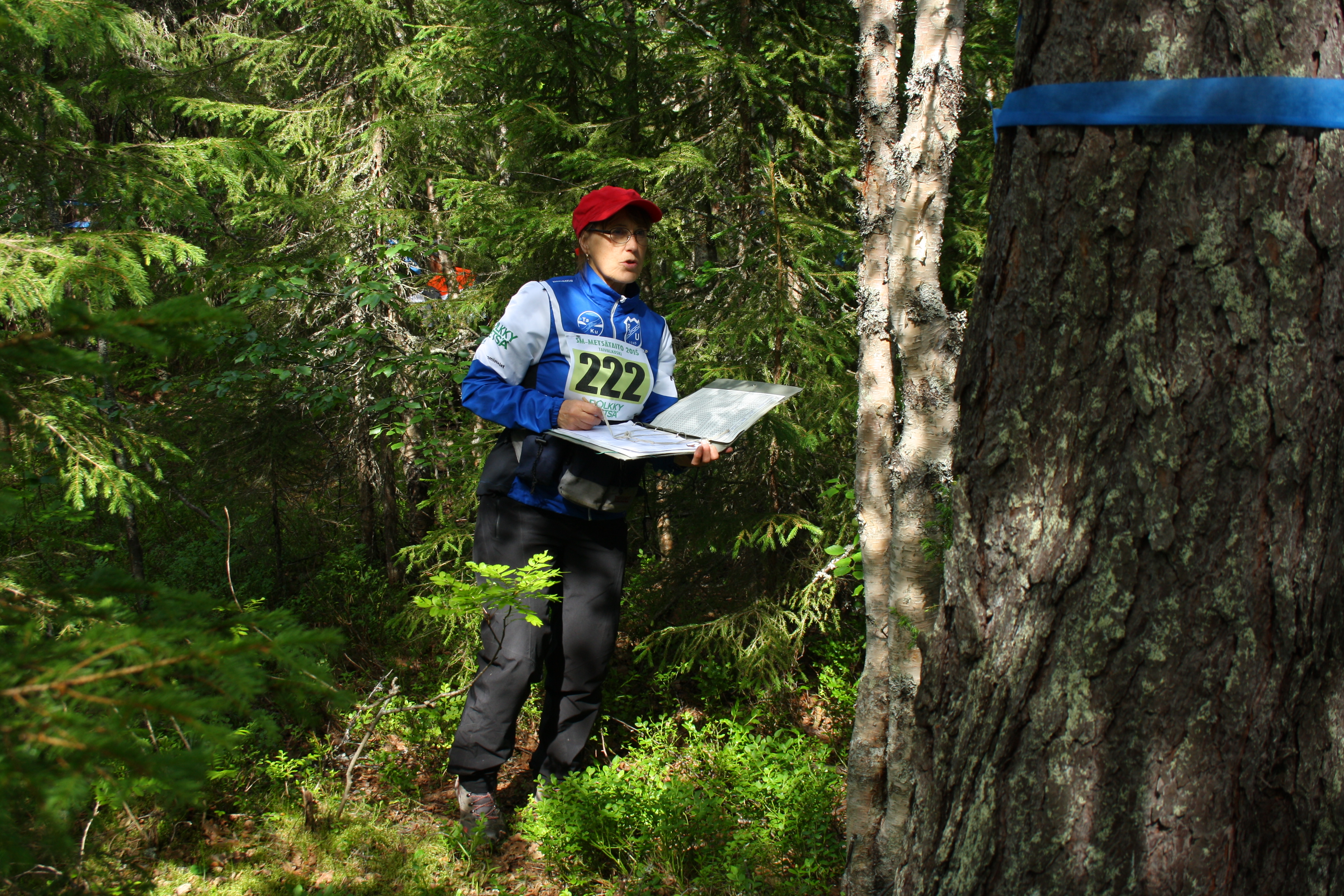 Taivalkoskelainen metsätalousinsinööri Laila Hökkä pitää ammattitaitoa osaltaan yllä osallistumalla metsätaitokisoihin. Tässä hän on Pohjois-Suomen mestaruuskisoissa reitin ensimmäisellä koealalla.