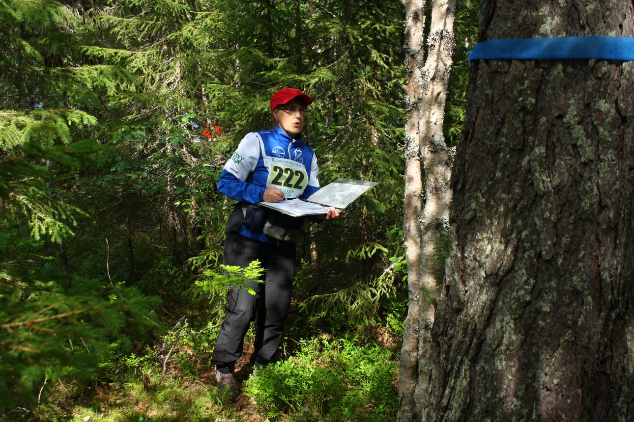 Taivalkoskelainen metsätalousinsinööri Laila Hökkä pitää ammattitaitoa osaltaan yllä osallistumalla metsätaitokisoihin. Tässä hän on Pohjois-Suomen mestaruuskisoissa reitin ensimmäisellä koealalla.
