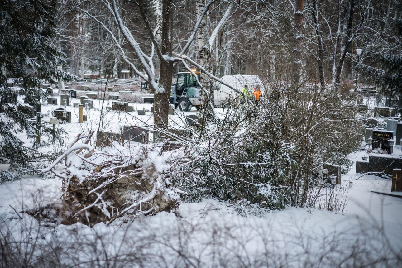 Lauantain ja sunnuntain välisenä yönä läntistä Suomea riepotellut Hannes-myrsky jätti jälkensä myös Törnävän hautausmaalle.