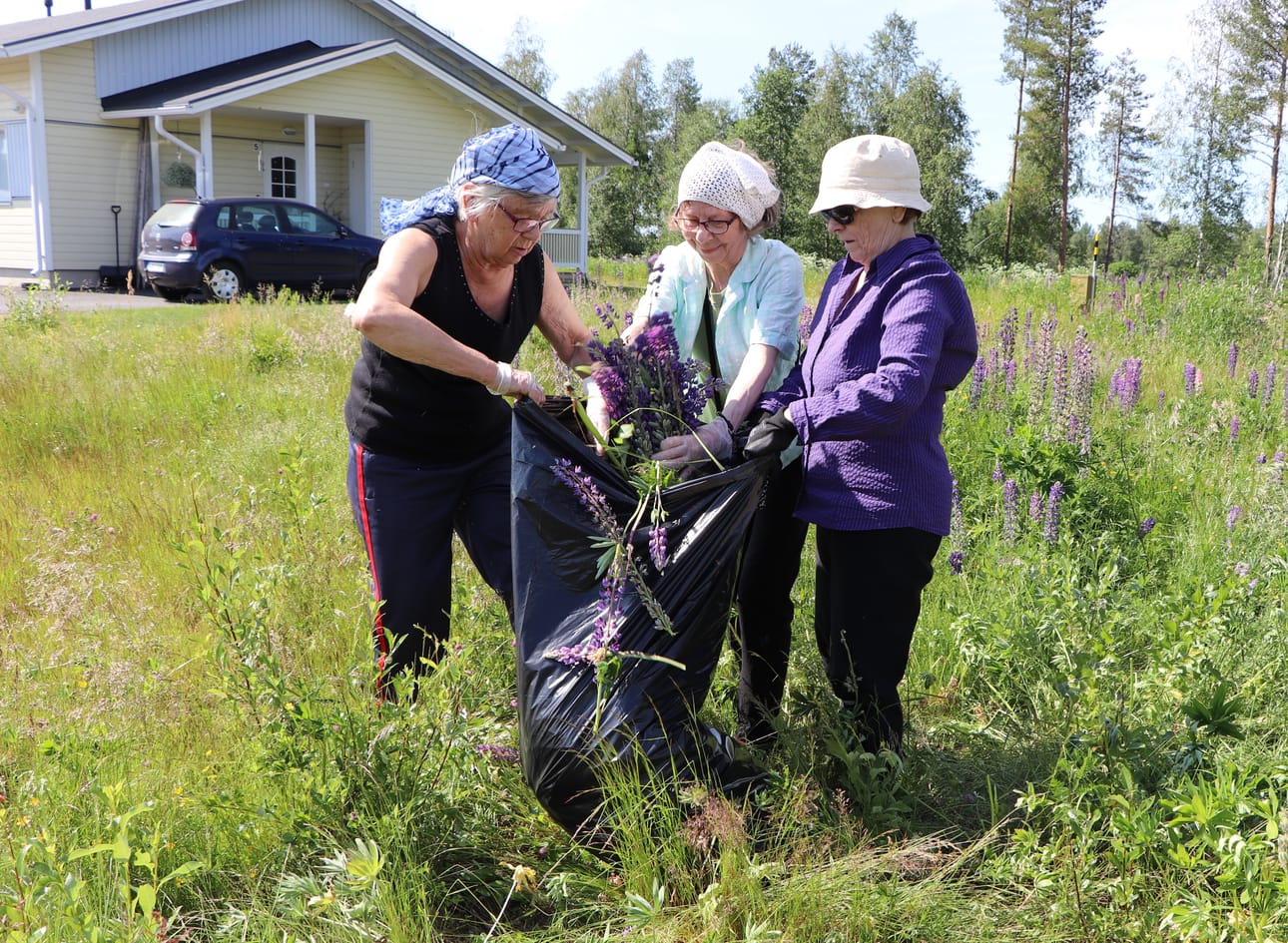 Talkoiden kitkentäjätteet vietiin lämpölaitokselle poltettaviksi.