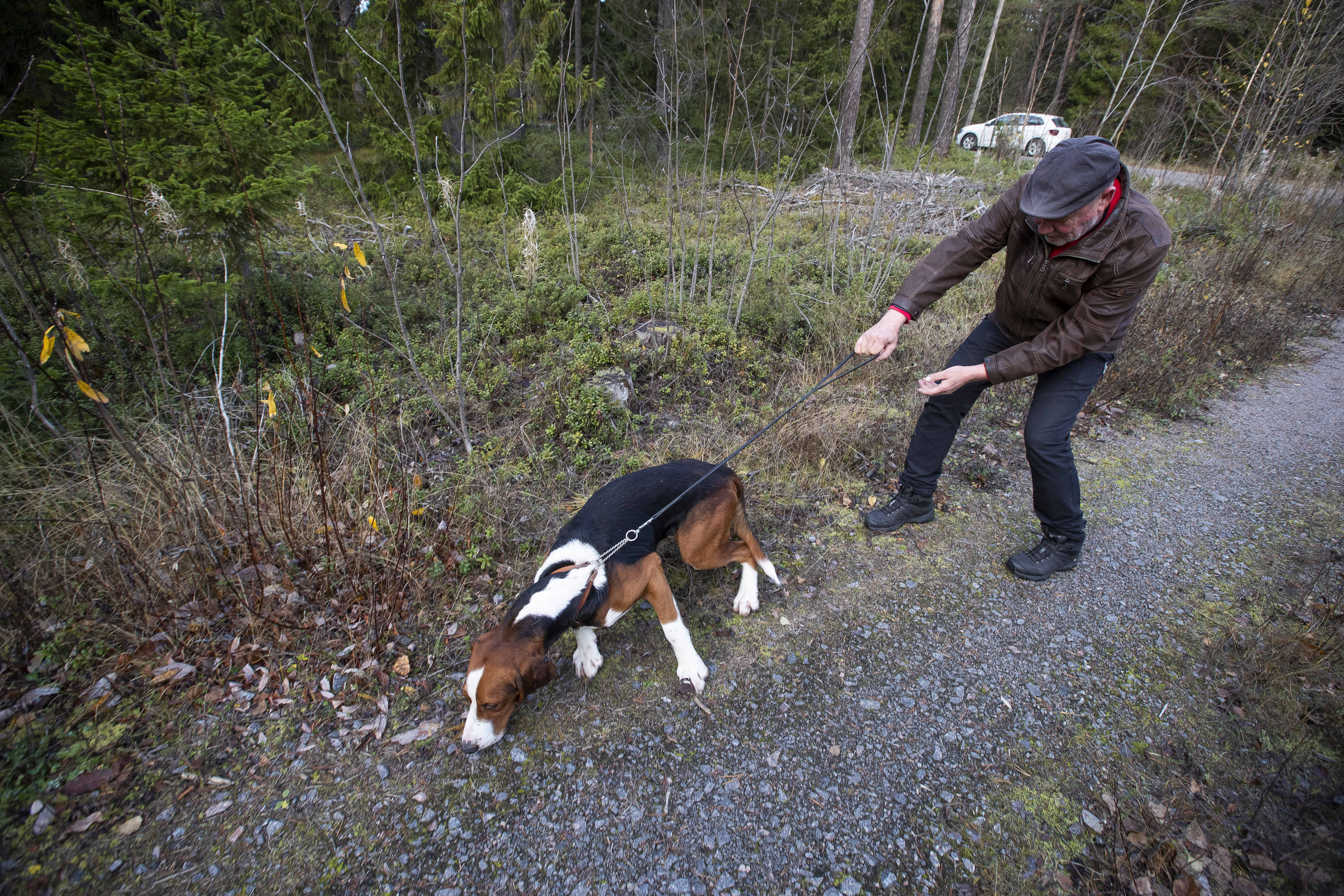 Kun Martti saa hajun ja päättää lähteä metsään, siinä on isännällä kiinnipitämistä.