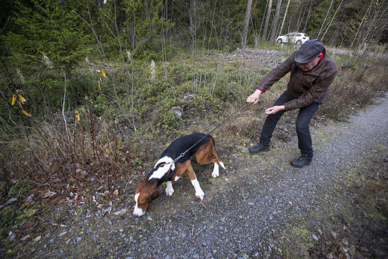 Kun Martti saa hajun ja päättää lähteä metsään, siinä on isännällä kiinnipitämistä.