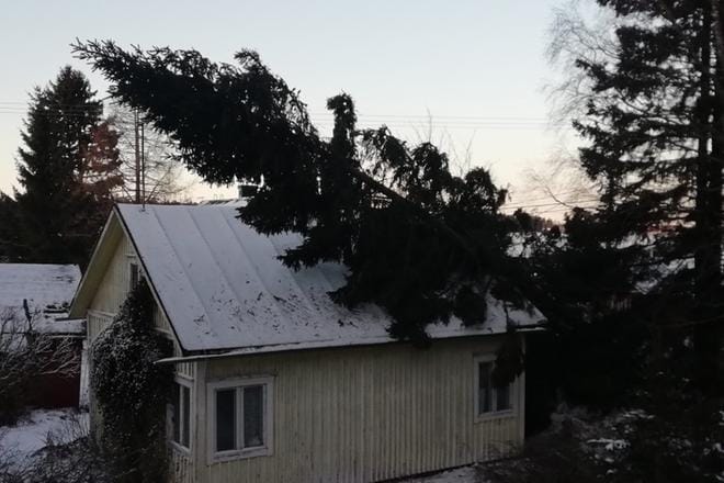 Myrsky kaatoi kuusen talon päälle Laihialla. KUVA: LUKIJAN KUVA