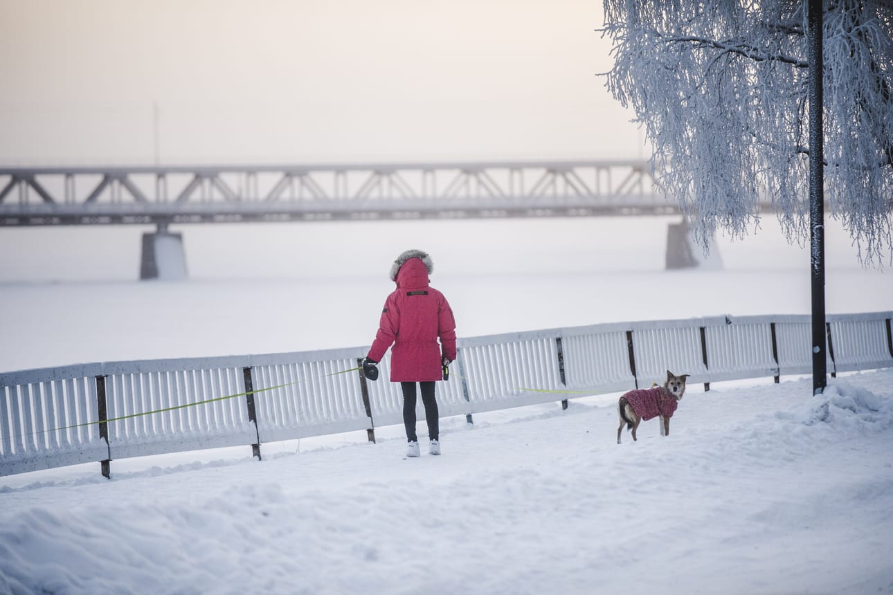 Rovaniemellä oli lauantaina pakkasta vain 25 asteen verran.