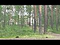 Lapset lähtevät koulutielle.