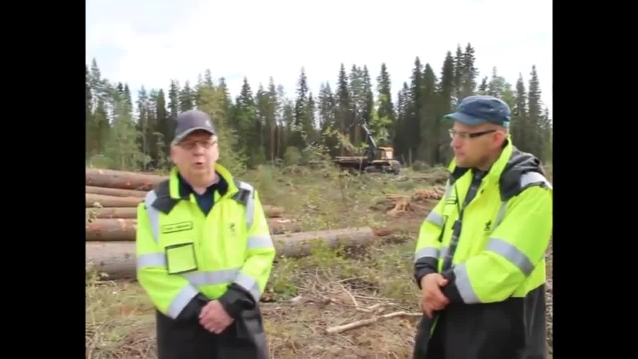 Kurkkaa metsäkoneenkuljettajan maisemakonttoriin
