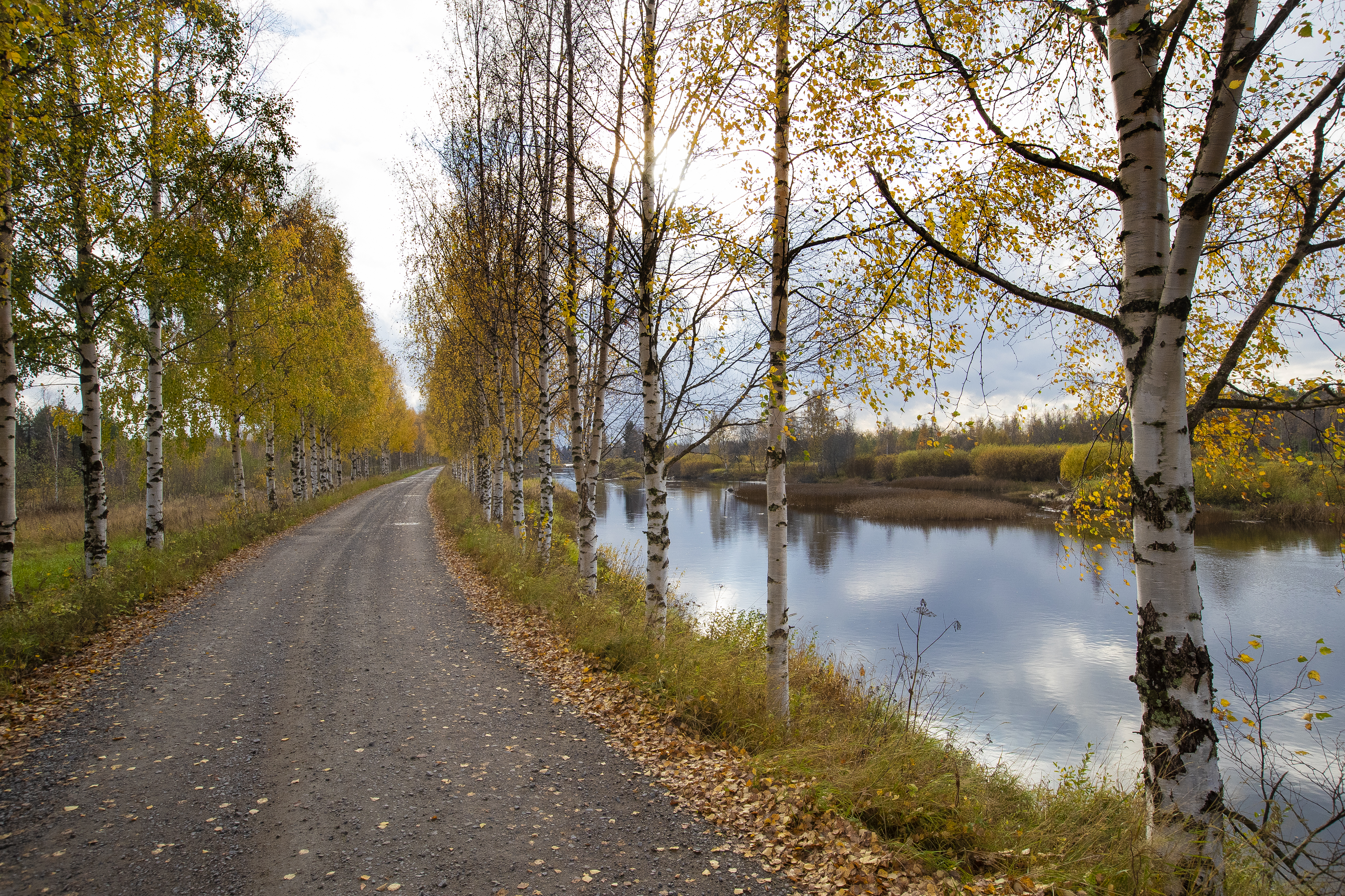 Yhteistyöllä halutaan parantaa Pyhäjoen vesistöä, kunnat mukana sopimuksessa yhteistuumin