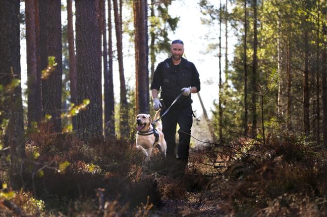 Poliisikoira Sampo on Jari Niemen työkaveri. Hyvästä työstä se palkitaan kehilla, nakeilla ja leluilla. Kuvat Virpi Kupiainen-Ämmälä