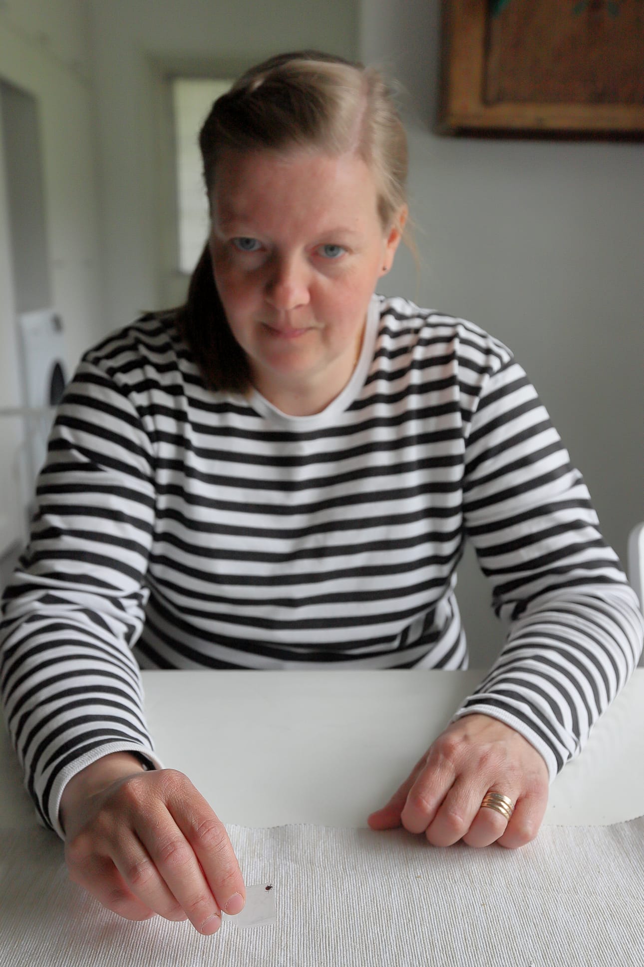 Marika Siniluoto kiinnittää löytämänsä punkit teippiin ja tuhoaa polttamalla.