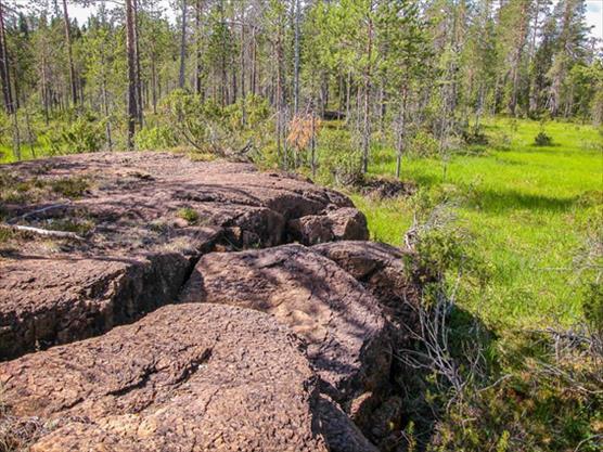 Uhanalaiset luontokeitaat kalkki- ja serpentiinikalliot kartoitetaan – maastotöitä tehdään kesällä myös Koillismaalla
