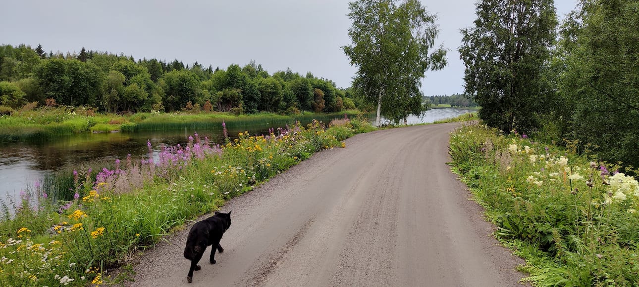 Yksi Pyhäjoen matkailuhelmistä on pyöräilyreitistö, jonka tärkeimpiä ovat jokivartta reunustavat, tulvavesiä patoavat penkkatiet.
