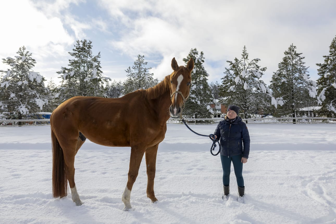 Kassu on rakenteeltaan kapea ja korkea ja hyvä esimerkki hevosesta, joka ei yli 180 sentin korkeudestaan huolimatta ole paras taakankantaja. 7-vuotiaana se on vielä nuori ja sen lihasten kasvu on kesken. Kati Kemppainen toivoo, että Kassu kykenee aikanaan kantamaan 90-kiloisen ratsastajan.