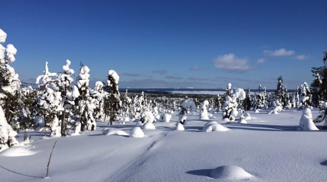 Tännekö kaivos? Ei kiitos