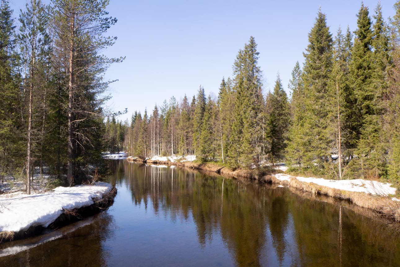 Kevät etenee tällä viikolla vauhdilla lämpimien ilmojen saattelemana.