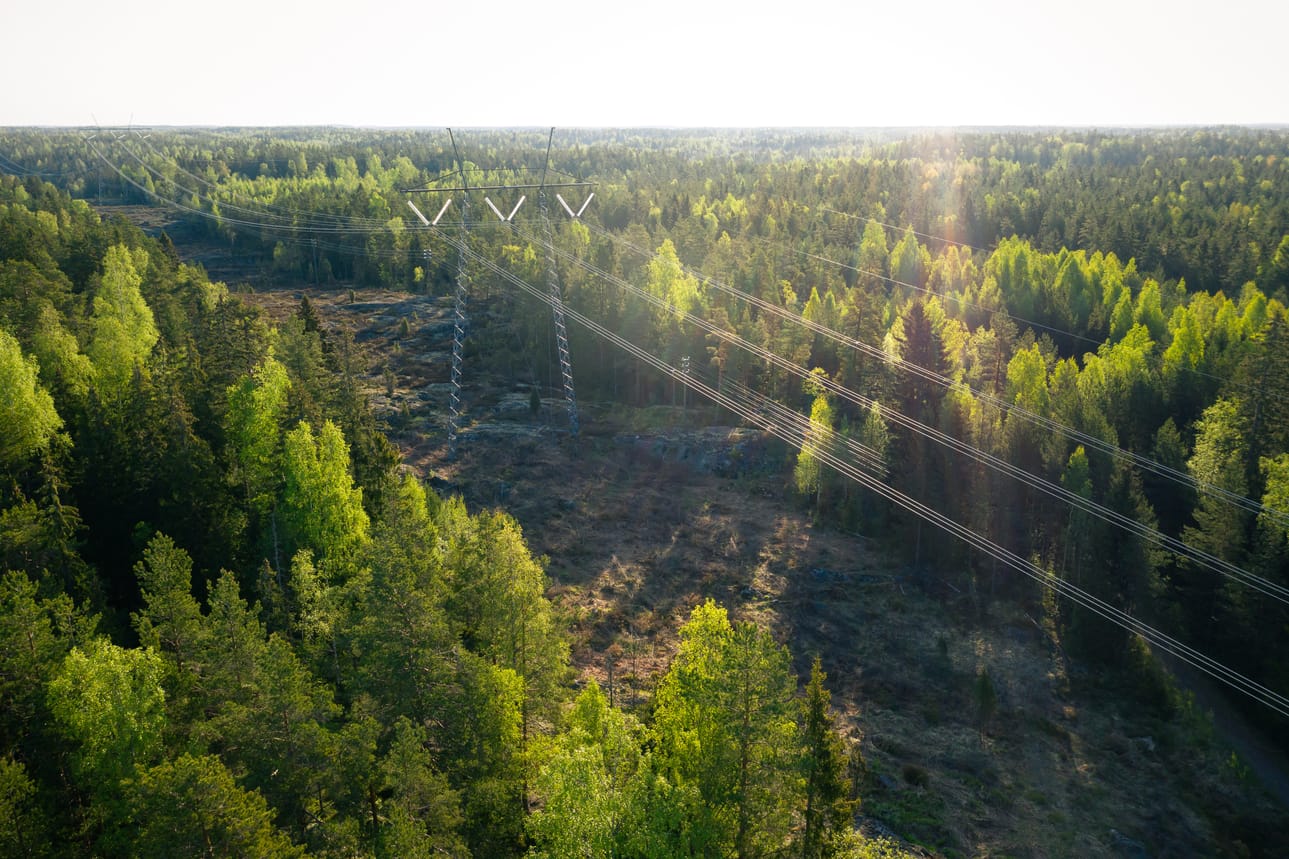 Fingridin Pyhäjoelle suunnittelema uusi iso sähköasema sijoittuisi Peurarämeen ja Kivinevan väliin Hanhelaan. Kuvituskuva.