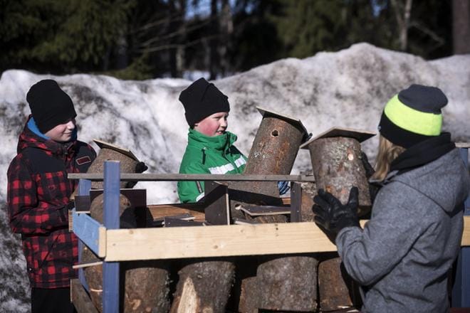 Julius Jussila, Petro Nikkinen ja Antti Seppälinna saivat muiden Merikaarron koulun oppilaiden tavoin kotiin viemiseksi kaksi kaupungin viheryksikön valmistamaa linnunpönttöä. Jokainen luokka sai lisäksi oman lintukirjan. KUVAT: JARNO PELLINEN