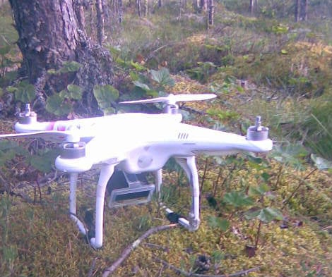 Kopteri oli todennäköisesti törmännyt puuhun.