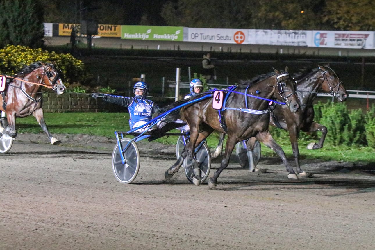 Henna Halme ohjasti Sahara Peyoten voittoon Porissa.
