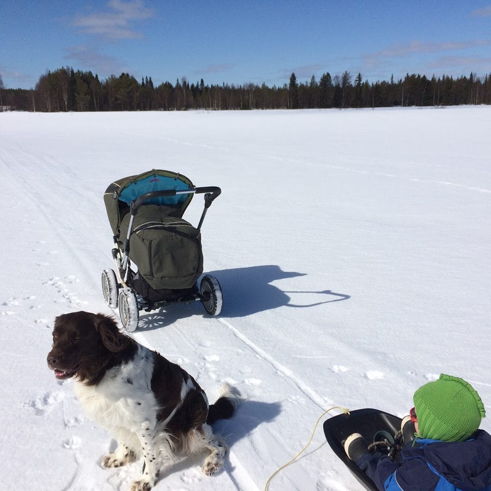 Vaunulenkillä pitkin peltoja!