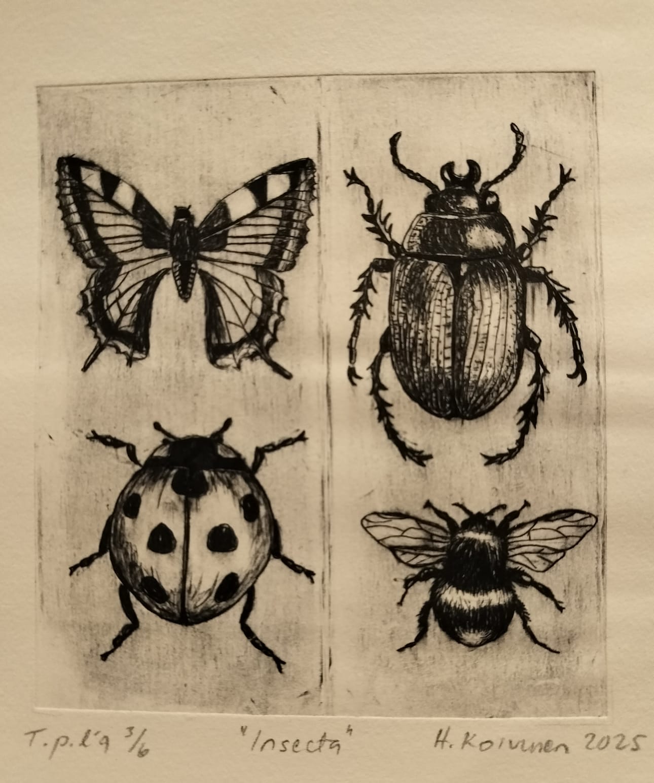 Hannele Koivunen: Insecta.