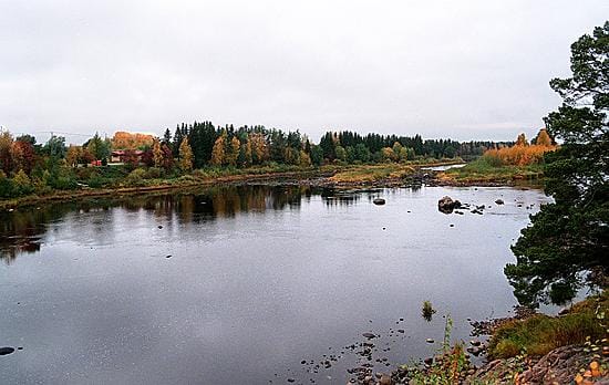 Sadetta odotetaan.