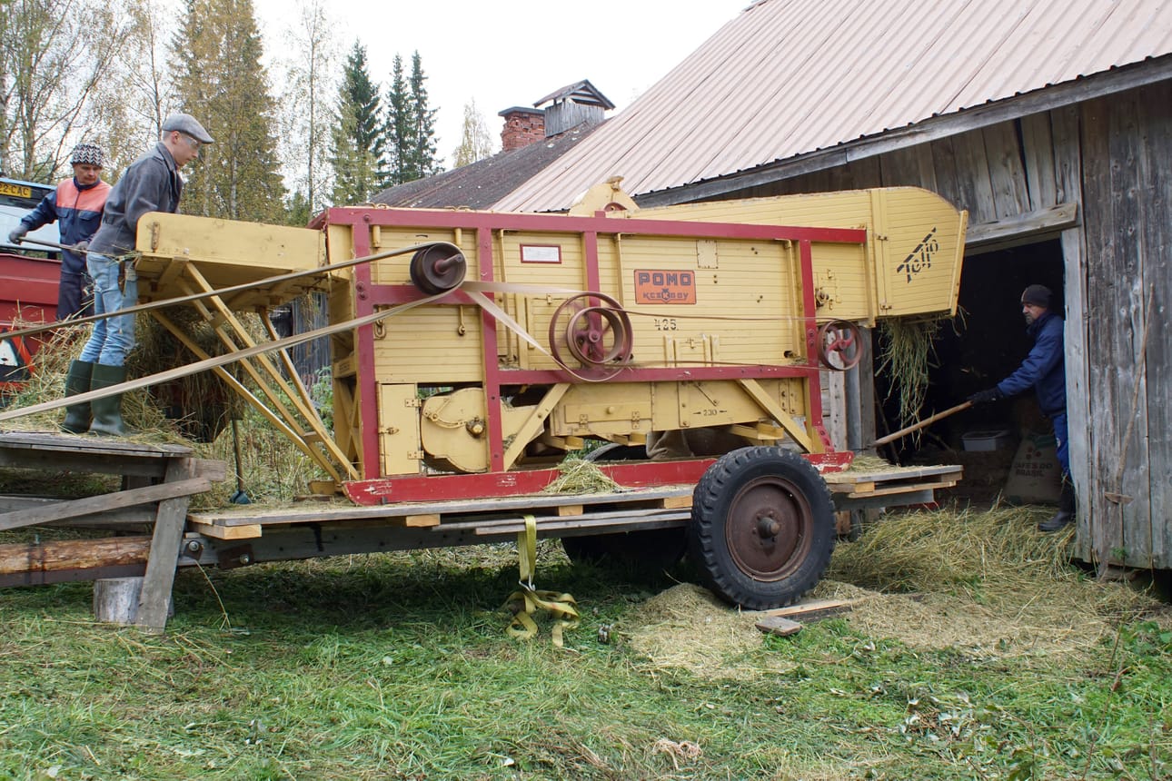 Homma käy kun Jaakko Jurmu hankoaa ohrat Aku Nurmelalle puimakoneen kitaan syötettäväksi. Asser Nurmela pitää huolen että oljet eivät tee tungosta. Alkuvuosinaan Pomo oli kovassa käytössä, viljaa kun kasvatettiin Jukuanvaarassa useiden talojen pelloilla. Myöhemmin on mennyt vuosia, että kone on saanut olla katon alla koko sulan ajan, Ali Vähäkuopus kertoo.