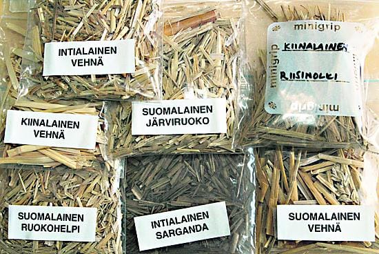 Paperin raaka-ainetta sellua voi hyvin tehdä pellolla kasvavista aineksista, agrokuiduista.
