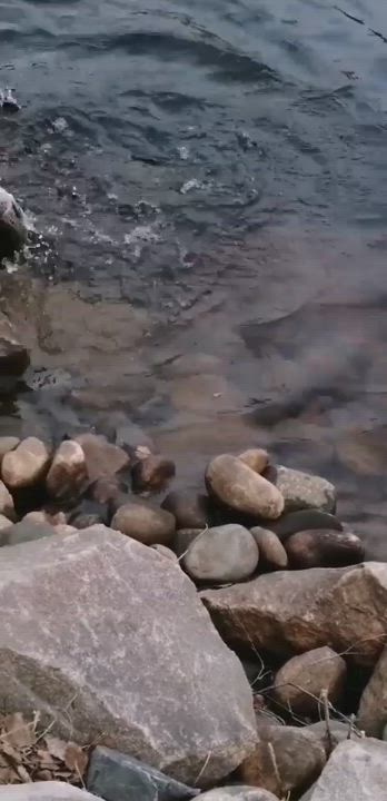 Oltiin kaverin kanssa kalassa oltu jo jonkun ikaa alku kesästä ja raatin vierestä se sai sellasen aikamoisen mötikän ja tässä on video kun mä käyn sen sieltä vedestä hakemassa. Into ja ilo paistaa oikeen kunnolla siinä yhteydessä:)  Oli eka lohikala kaveriporukasta.