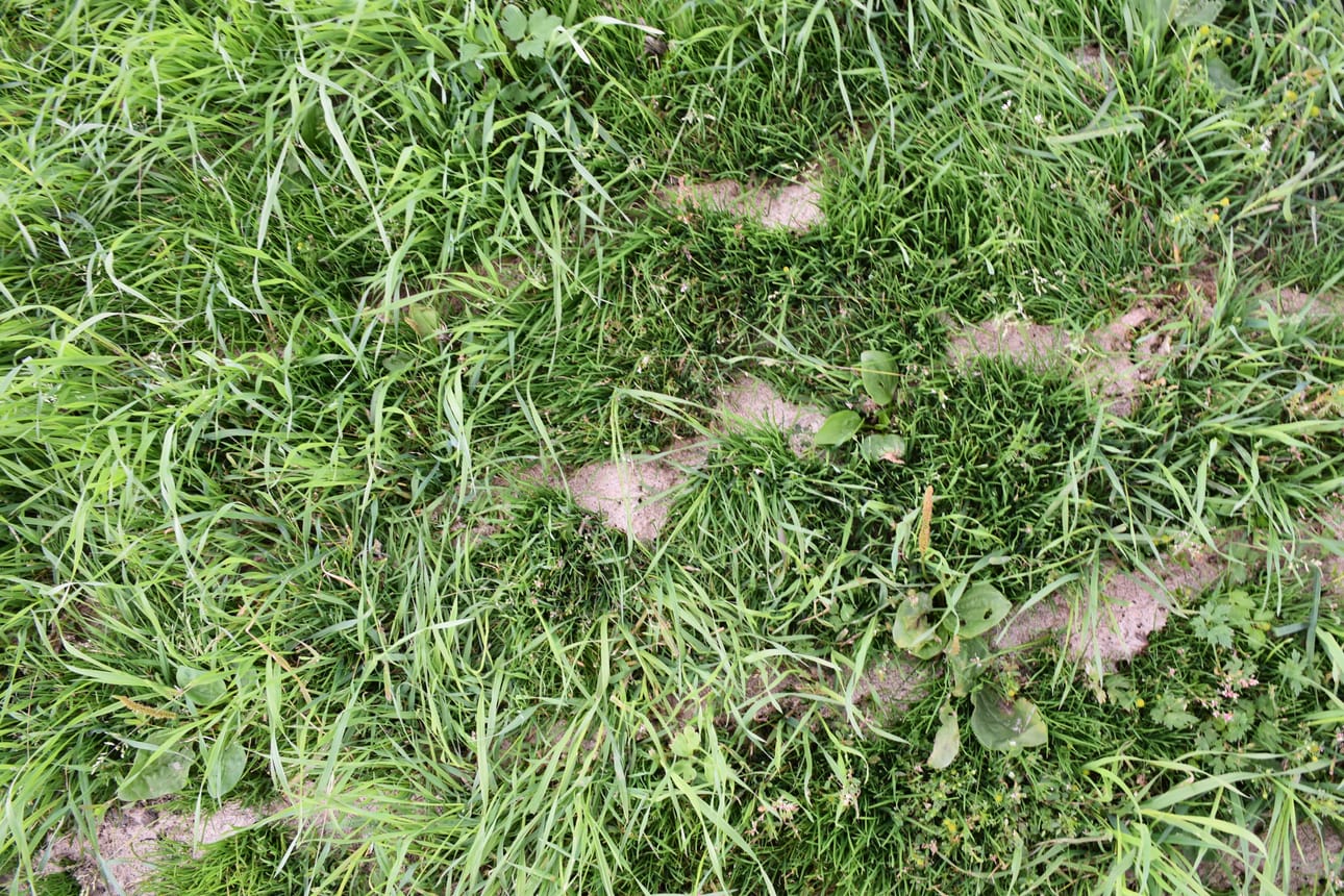 Maaperä on Käkelänkin pellolla kuiva. Liete on kuorettunut, koska levityksen aikana ei ole satanut. Käkelän pelloista yli puolet ovat kivennäismaan peltoja. Turvemaan pelloilla nurmi on kasvanut nopeammin.