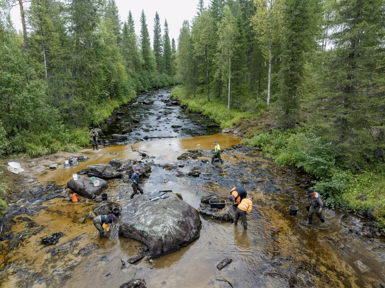 Taustalla on viime kesän tapaus, jossa raakkuja kuoli Stora Enson työmaalla Hukkajoella, kun joen yli ajettiin toistuvasti metsätyökoneilla. Kuva Hukkajoelta viime elokuulta joen puhdistamisesta. LEHTIKUVA / Hannu Huttu