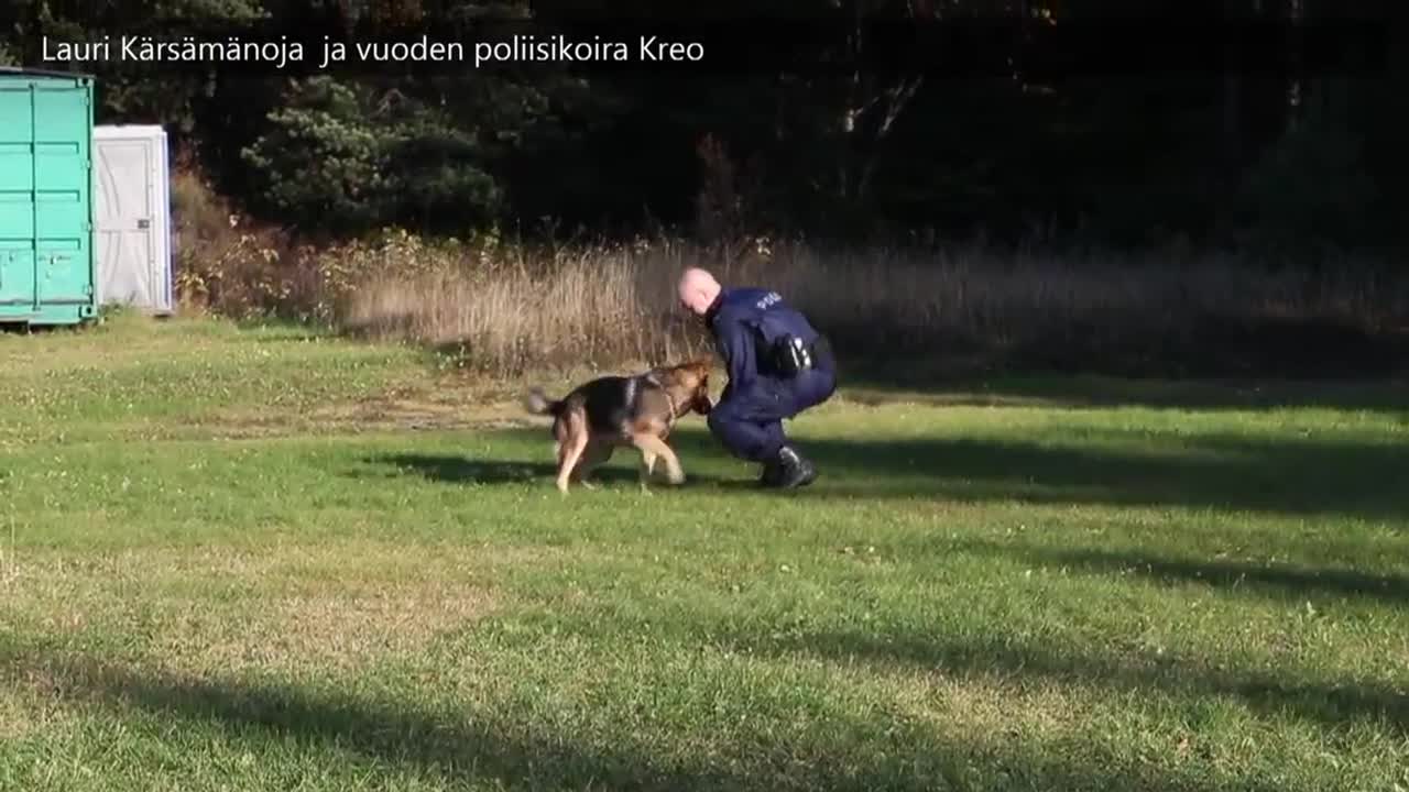 Lauri Kärsämänoja ja poliisikoira Kreo