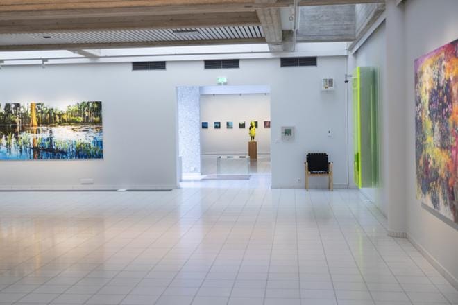 Apina ja vesiputous – Tämän ilmaston kuvia -näyttelyn teokset olivat esillä Sara Hildénin taidemuseossa Tampereella kesällä 2018. KUVA: LAURA TALVITIE