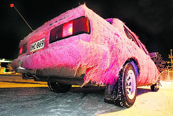 <b>Karvat pysyy.</b> Corollan karvoitus on pysynyt sateen, lumen, jään ja tuulen ankarista vaikutuksista huolimatta hyvin.