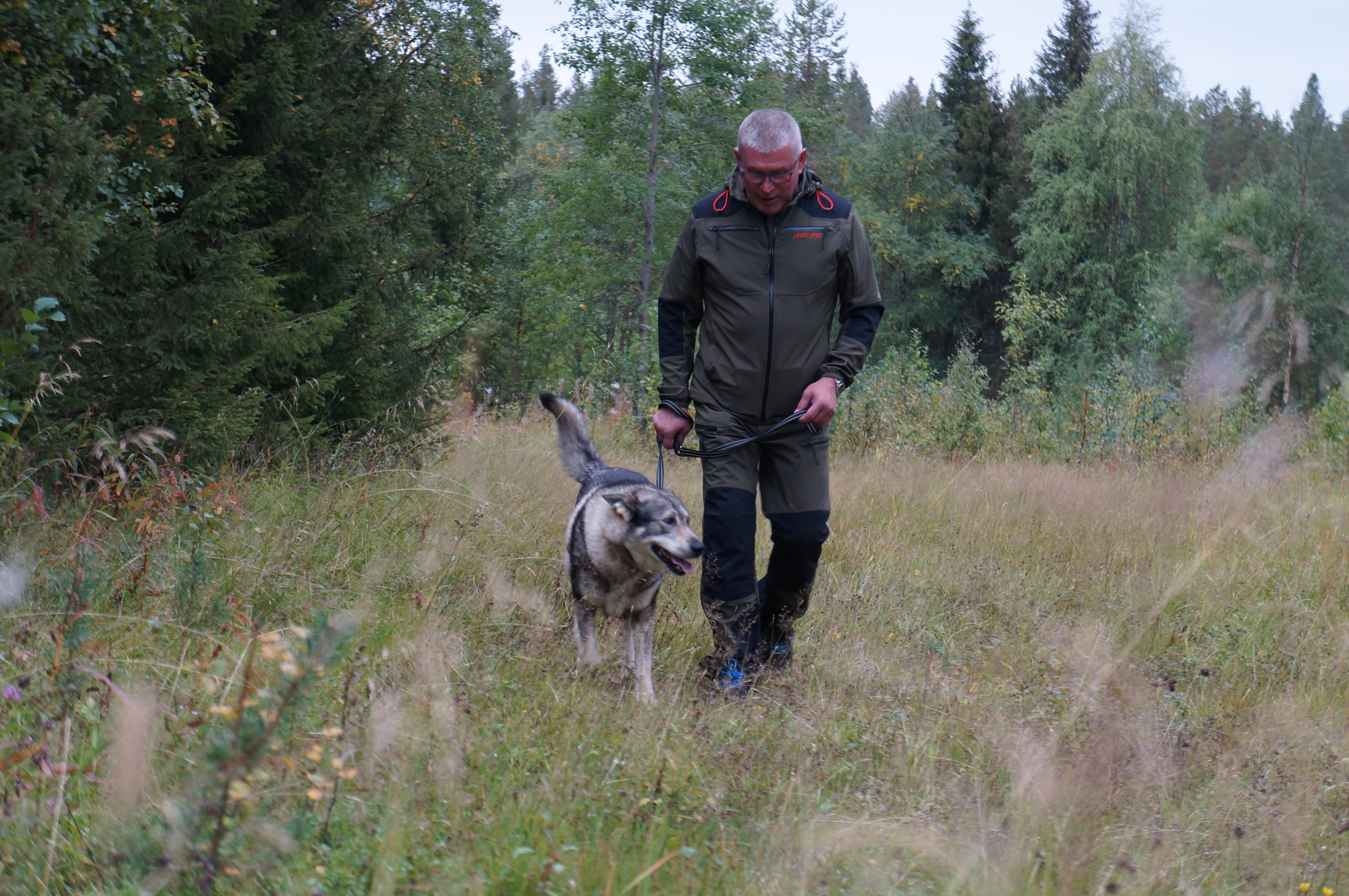 Oranssiliivit ja marjastajat nyt yhtä aikaa metsässä: "Hirvimiehet eivät ole herroja metsässä"